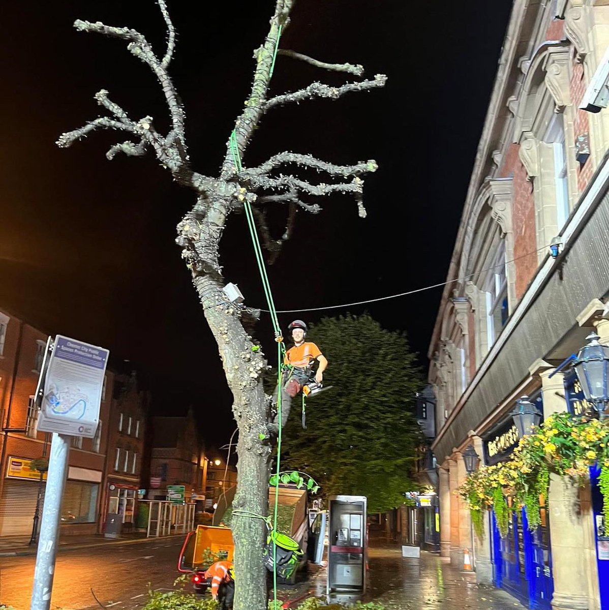 mancoedvm's tweet image. 🌓 𝐍𝐢𝐠𝐡𝐭 𝐒𝐡𝐢𝐟𝐭 🌗 
Some of our work must be completed at night so as not to disrupt local businesses and the community. This tree was part of our Cheshire West and Chester Council work. The Lime tree was pollarded by the team. #pollarding #treepollard