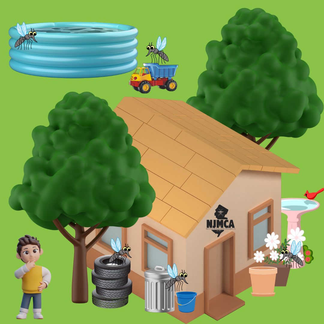 NJMosquitoAssn's tweet photo. Remember with all the rain we've had to dump out any standing water you may have to reduce mosquitoes! Standing water around the home can be overfilled bird baths, plant pots/saucers, kid toys, kiddie pools, trash cans, and so much more! ☔️🦟 #TipNToss #NJMCA #MosquitoControl https://t.co/1rETX4sWQM