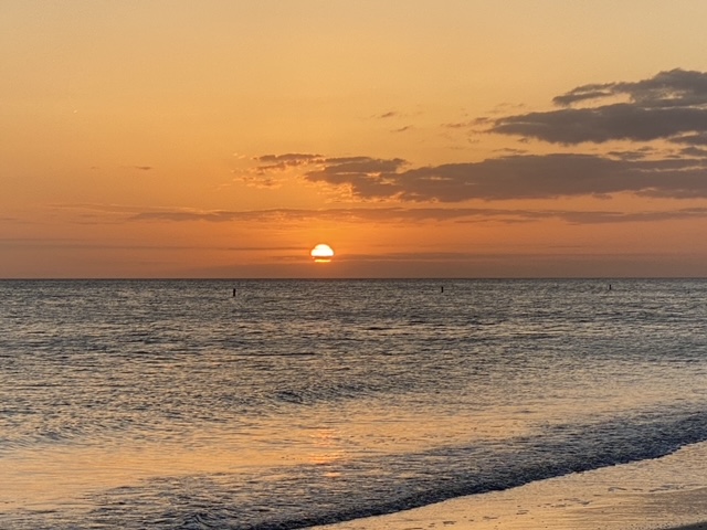 TMindfully's tweet image. 1 hour of Calm Beach Sounds at Sunset

 youtu.be/pPZkWSIFWYA?si… via @YouTube 

#beach  #calming  #sunset #beachsounds #mindfullness