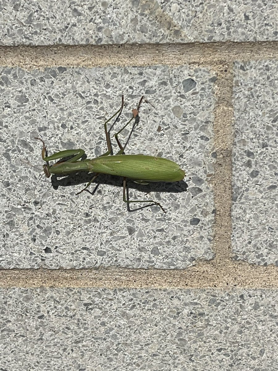 @kgriffinfamily tweet media