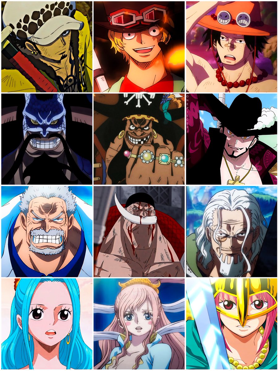 One Piece Daily tweet media