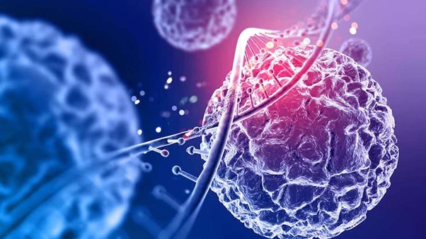 The ResearchHub Journal (@rhubjournal) on Twitter photo 🚨New Review🚨 - Oncology and Dermatology
Rating: ⭐⭐⭐⭐⭐
Title: "Pre-existing inflammatory disease predicts cutaneous immunotherapy toxicity development: A Multi-institutional cohort study"
Reviewer: <a href="/DhandhaMaulik/">Maulik Dhandha, MD</a>
Link 👉 researchhub.com/paper/1278304/… 🚨New Review🚨 - Oncology and Dermatology
Rating: ⭐⭐⭐⭐⭐
Title: "Pre-existing inflammatory disease predicts cutaneous immunotherapy toxicity development: A Multi-institutional cohort study"
Reviewer: <a href="/DhandhaMaulik/">Maulik Dhandha, MD</a>
Link 👉 researchhub.com/paper/1278304/…