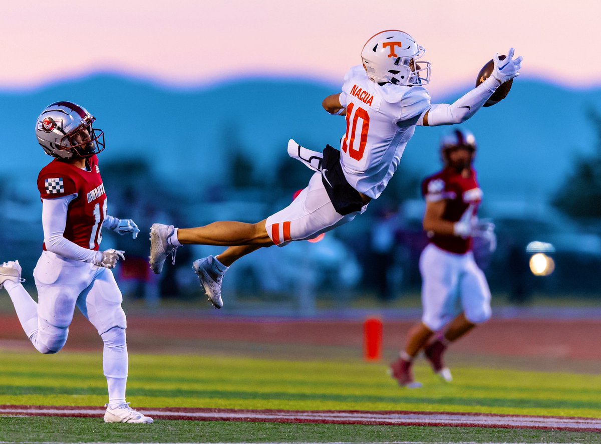 Ross Apo🇹🇴 tweet media