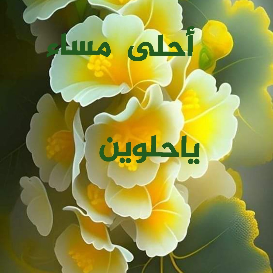 #القلب  كالعصفور يهبط  في المكأن الذي يشعر  فيه بالامان،،🌹🌹