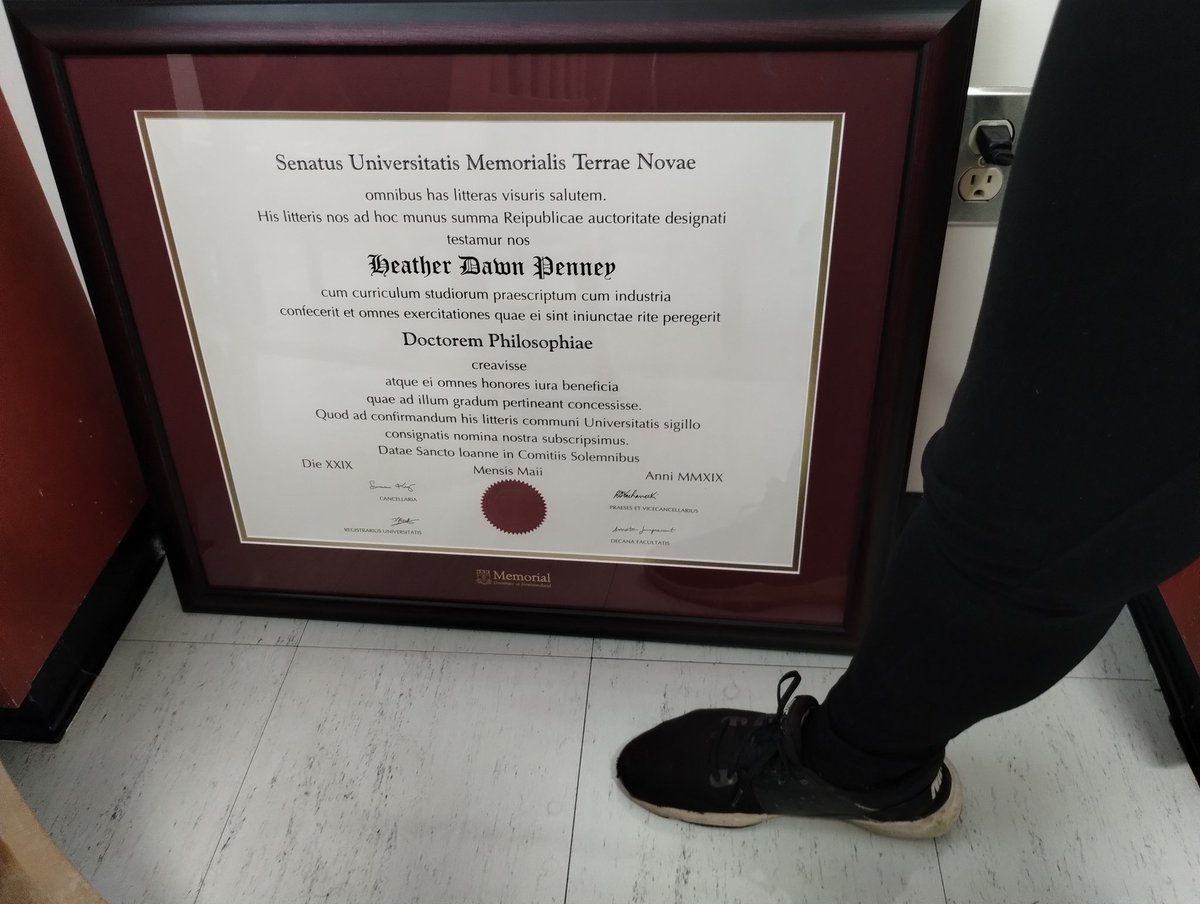 I finally got around to it, and framed my PhD.
Serious question. <a href="/MemorialU/">Memorial University</a> why is it so big ?