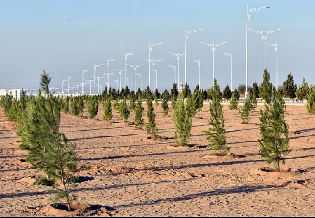 inside_rss's tweet photo. Happy #internationalenvironment day. RSS has worked hard for India's greenery. In 2019, RSS planted 1 crore saplings in Karnataka ๐ณ. In September, at the #AkhilBharatiyaSamanvayBaithak, RSS gathered to discuss an eco-friendly lifestyle, Swadeshi principles, & civic duties. ๐ฎ๐ณ https://t.co/3DvCwshhm7
