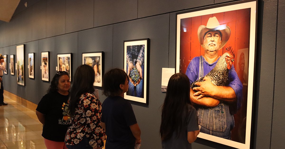 Check out these photos from the Dickinson Research Center of wheat harvest!   

Don't forget "American Farmer" is on exhibition at #TheCowboy through October 18, 2023.  
. 
. 
. 
📸1: H.061.07.3 
📸3: 1969.164.03