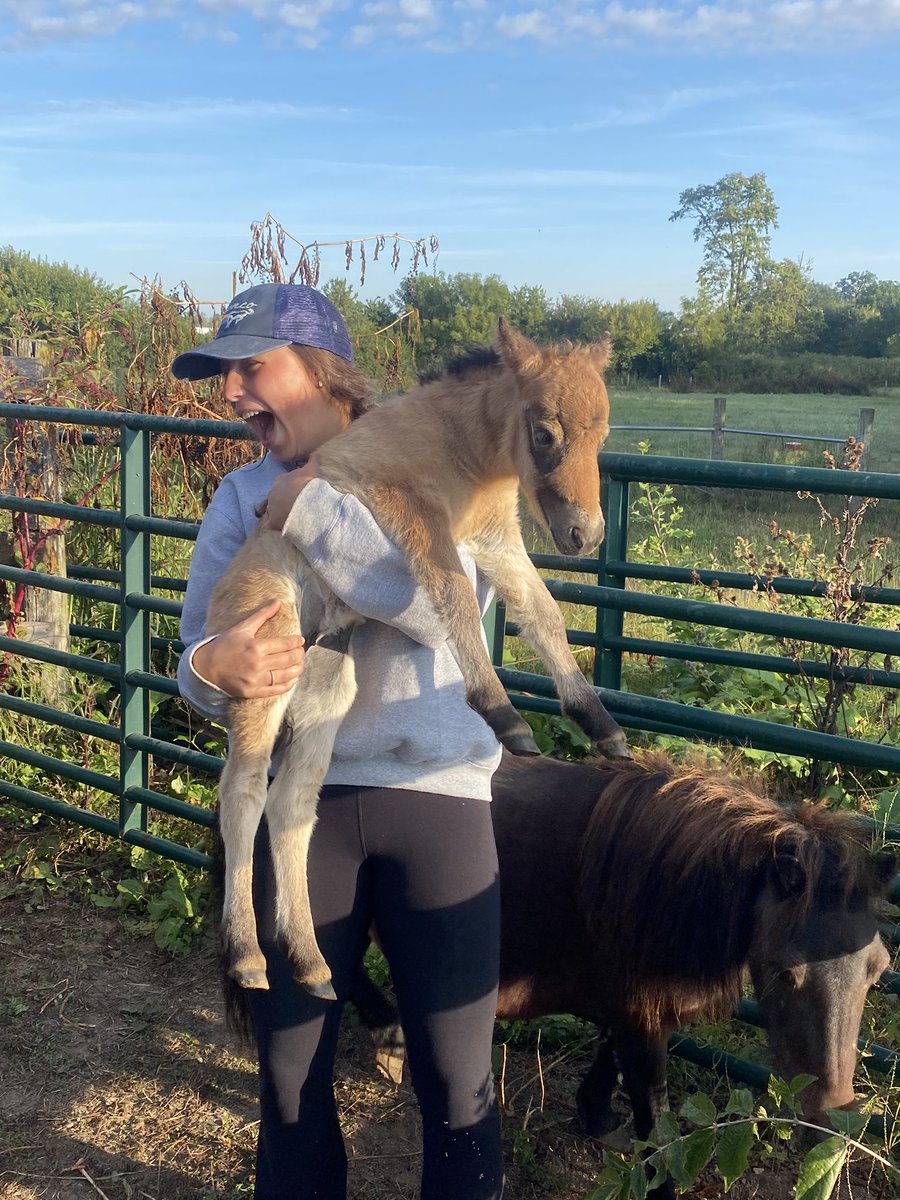 Nichol Ripley (@theflipfloplife) on Twitter photo That moment you realize you absolutely picked the right Lab for  Undergraduate Research. Our 3 new freshman researchers got to meet the best asset at the University of Kentucky: The Parasitology Research Herds!
They were just a little happy. ❤️
<a href="/MartinKNielsen/">Martin Nielsen</a> That moment you realize you absolutely picked the right Lab for  Undergraduate Research. Our 3 new freshman researchers got to meet the best asset at the University of Kentucky: The Parasitology Research Herds!
They were just a little happy. ❤️
<a href="/MartinKNielsen/">Martin Nielsen</a>