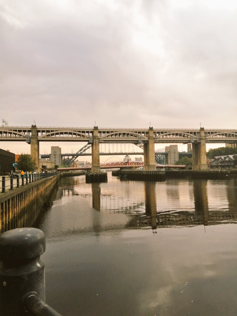 EMae_Watson's tweet photo. Had a great two days in Newcastle at the @royalsociety circadian rhythms in infection and immunity meeting. And big thanks to @ReeceLab, @curtisclocklab &amp; @RachelSEdgar for organising! https://t.co/4JUn1Cod0o