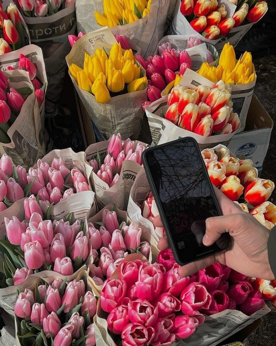 prettiestavenue's tweet photo. flower shopping 💐 https://t.co/pjgfu3txHr