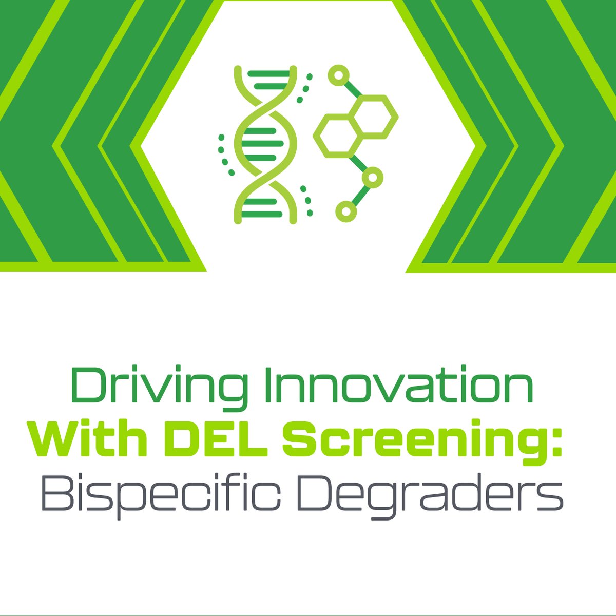 What did our team achieve?

•Bispecific estrogen receptor α degraders uncovered
•Simultaneous screening for enriched off-DNA compounds
•Binding antagonism ensured, not agonism
•In vivo tumor knockdown tested

Curious about more? Dive into our blog. ow.ly/qC5Y50PHVyc