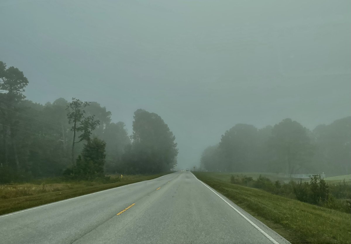 EllaTanseyWECT's tweet photo. A foggy fall morning☁️ #ncwx #bslnc #ilmwx https://t.co/NyA8dWAC7q
