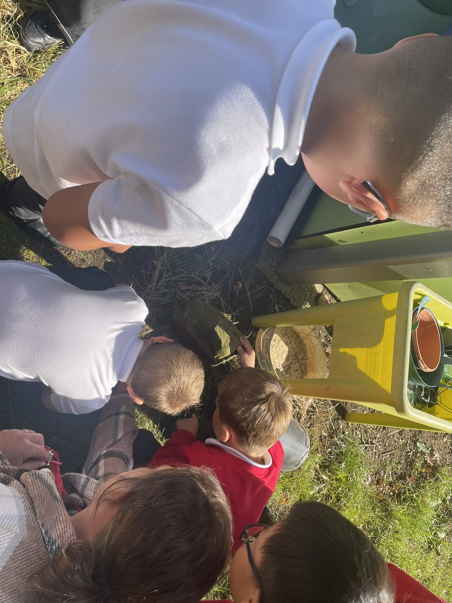 Year 2 have been exploring micro habitats during our science lesson this afternoon. We were careful to not harm any mini beasts and we made sure we returned the habitats to the way we found them. 🐛🕷️🐜 #Joeysscience @stjs_staveley