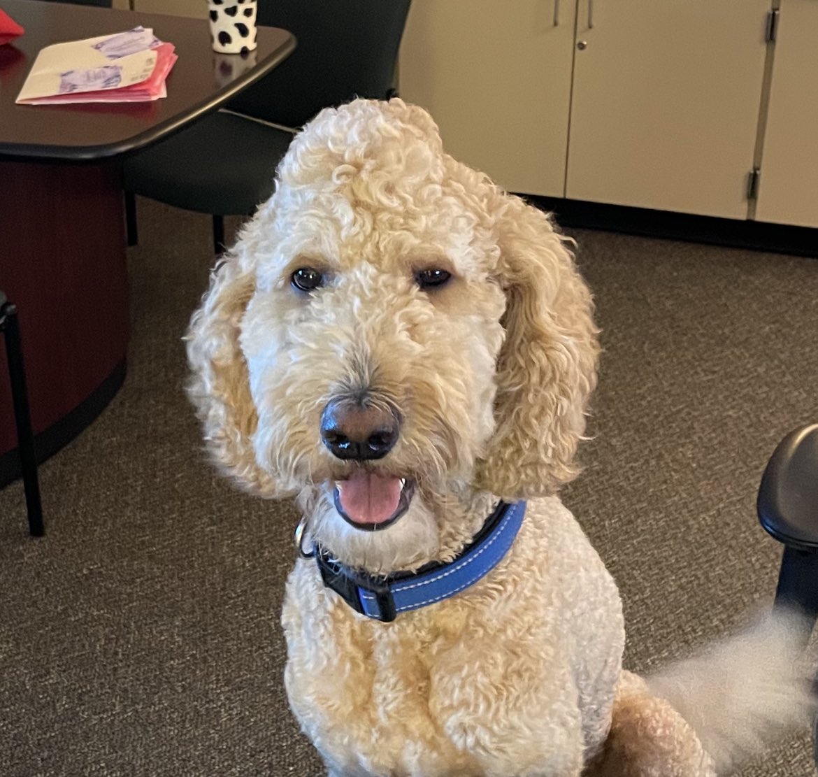 Ready to have a great day!!! <a href="/CooperFresh1/">Cooper "The Canine Counselor" Freshwater</a> <a href="/mrsfreshwater1/">Kesha Freshwater</a> <a href="/HumbleISD_OE/">Oaks Elementary</a>