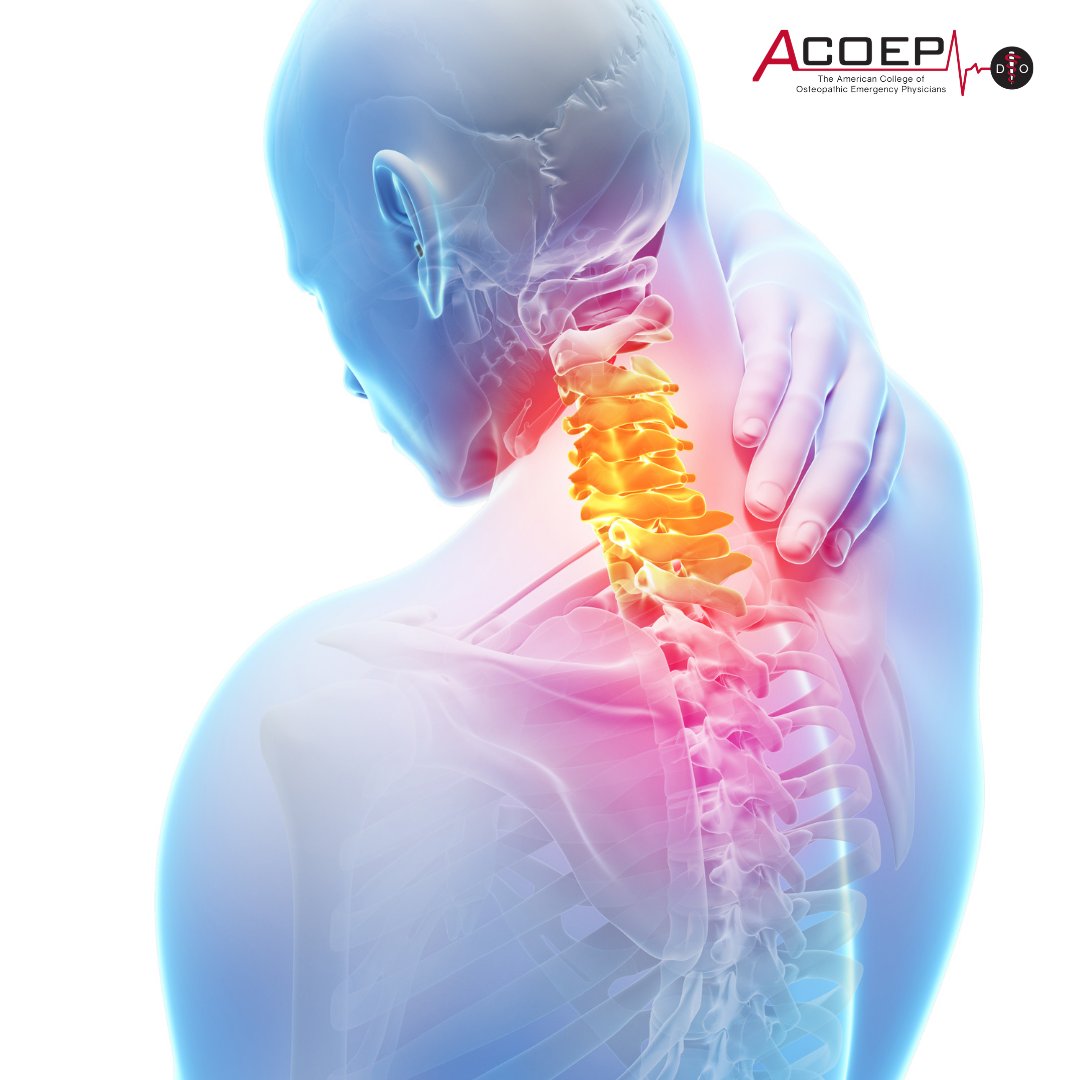 ACOEP's tweet photo. Uncover the complexities of Penetrating #NeckTrauma in our #ACOEP class! 🏥
Don't miss out on this essential knowledge for #emergencyphysicians ! 🚑🔬
Learn more: https://t.co/MVpq5lt5Ph https://t.co/FJCiofeZVG