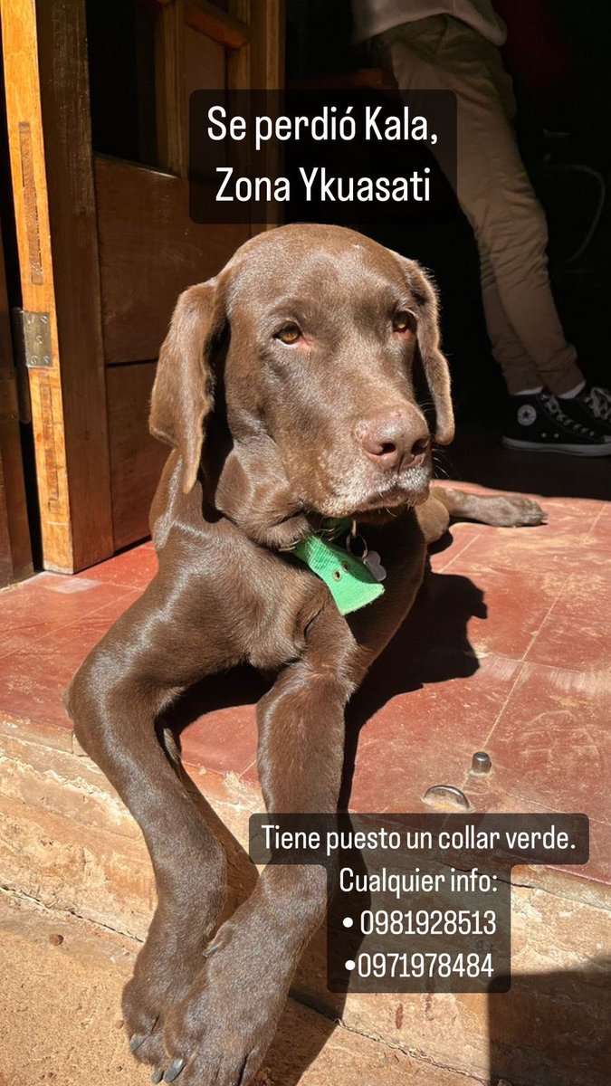 ME AYUDAN A DIFUNDIR 🙏🏻🙏🏻🙏🏻😭😭