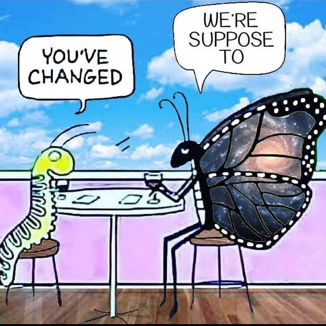 journeysintoplr's tweet image. Much like the transformation of a caterpillar into a butterfly, change in our lives can be a beautiful and transformative process
Follow IG:  👉 @journeys_into_past_lives  for daily spiritual posts🌠

#wombwisdom #spiritualcommunity #spirituallove #spiritualmemes
