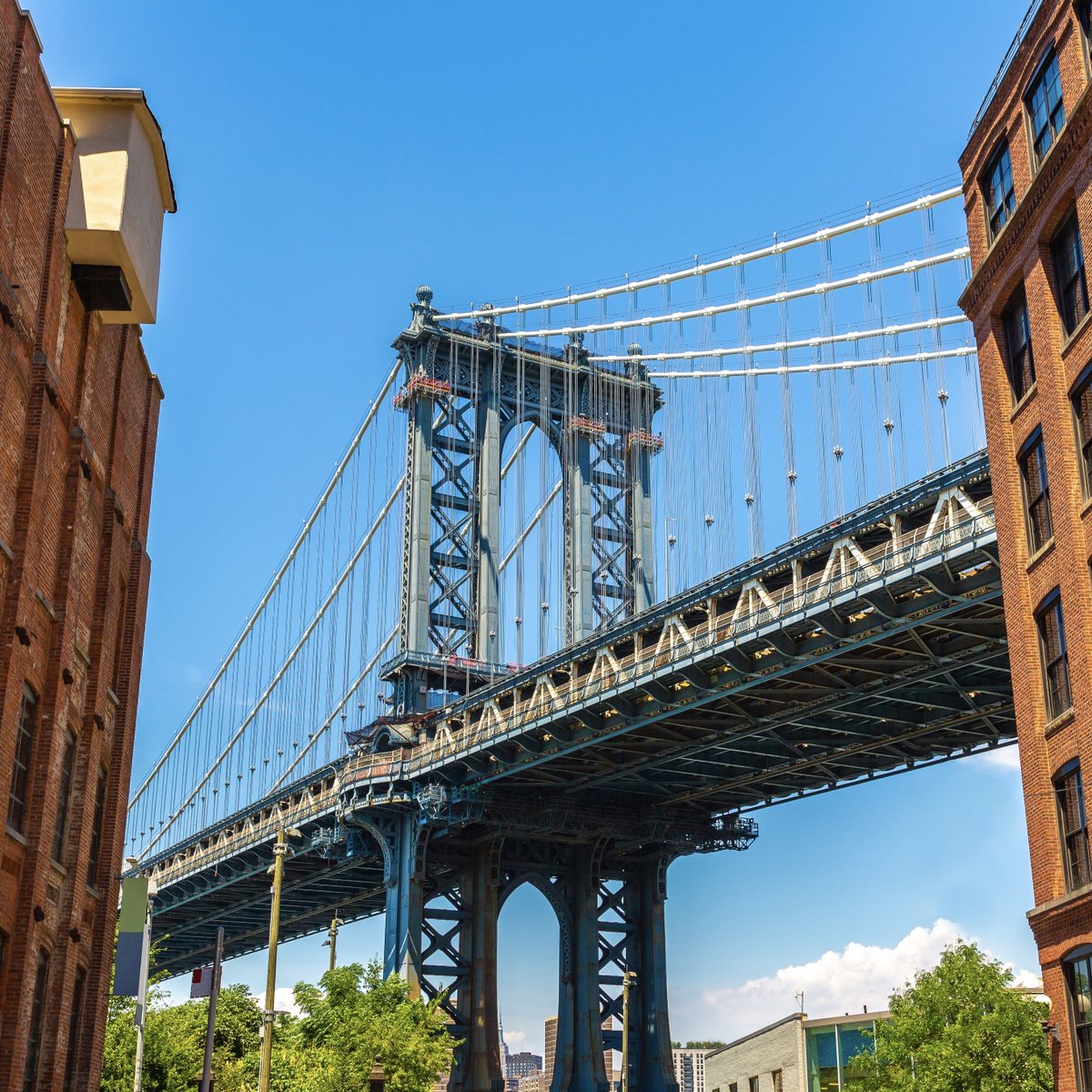 AppellateLand's tweet photo. In the vibrant city of New York, title insurance isn’t just a safeguard—it’s a mandate.

Discover how this shield protects your real estate dreams from the unexpected and how we stand as your guardian in every transaction 👉 https://t.co/PaCyBjs3bS 🔗 #Appellate #AppellateLand https://t.co/S2YuYkOMUW