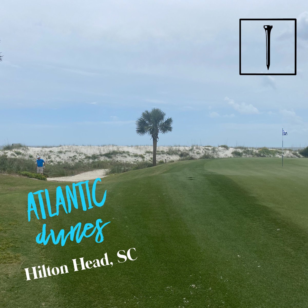 Pure beauty lies at <a href="/SeaPinesResort/">The Sea Pines Resort</a> Atlantic Dunes course
#TravelTuesday 
#golflife
#golf