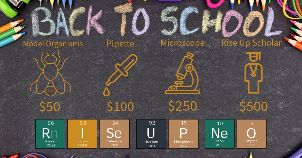 Rise Up Northeast Ohio tweet media