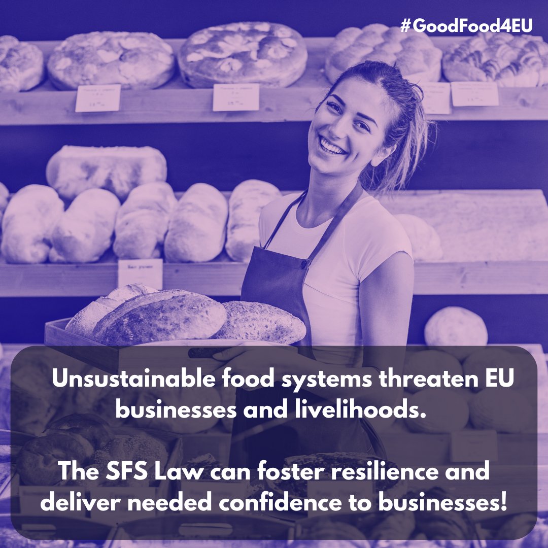 SafeFoodEurope's tweet photo. Today's #FoodSystems are bad for business 🇪🇺📉
For millions of livelihoods, this threat is existential🚨
Only by being truly sustainable can food systems be resilient - and businesses safe✅
Here's why companies demand an ambitious #SFSLaw👇
https://t.co/QnJxCelMHt https://t.co/PAGwhldOSZ