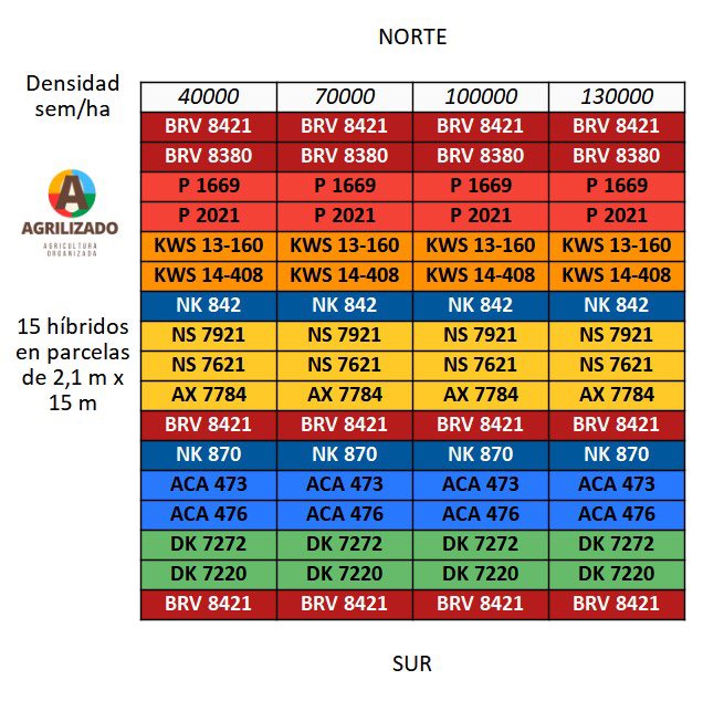 agrilizado's tweet photo. Se agradece a todas las empresas y productores que colaboraron con semilla de híbridos de maíz para poder llevar a cabo este ensayo en donde se generará información muy valiosa que será útil para mejorar la toma de decisiones futuras!

15 híbridos🌽 en 4 densidad y 2 ambientes 💪🏼 https://t.co/vYpVwlLoWn