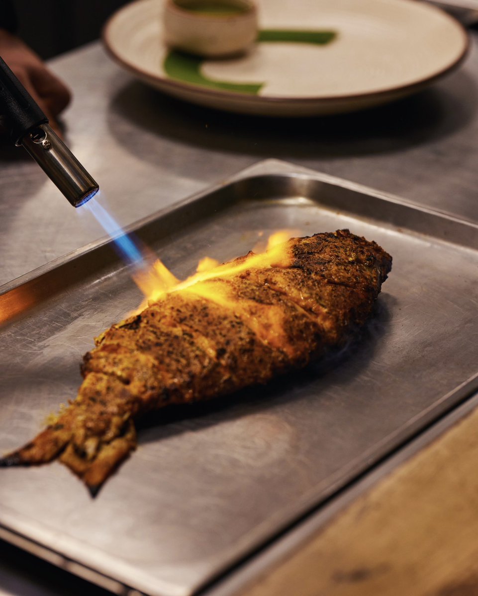 comorin_in's tweet photo. On our table today: vibrant colours, rich textures and aromatic flavours.
Seen here is our Tandoori Red Snapper being torched for the perfect bite. We serve this sharing plate with Mint Chutney and a refreshing Lachha Salad. 
.
.
.
#Comorin #ComeOnIn #Seafood #RegionalFlavours https://t.co/P0nDHk4z9b