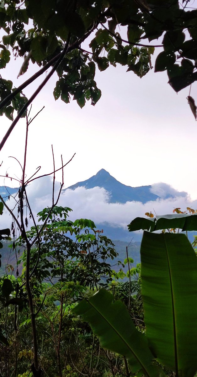 Mountain view 🏔️ India #mountains #moutain #nature #NaturePhotography #NatureBeauty #naturelovers #NaturePhoto #hiking #hikingadventures #VideoViral #travelphotography #TravelForLiFE