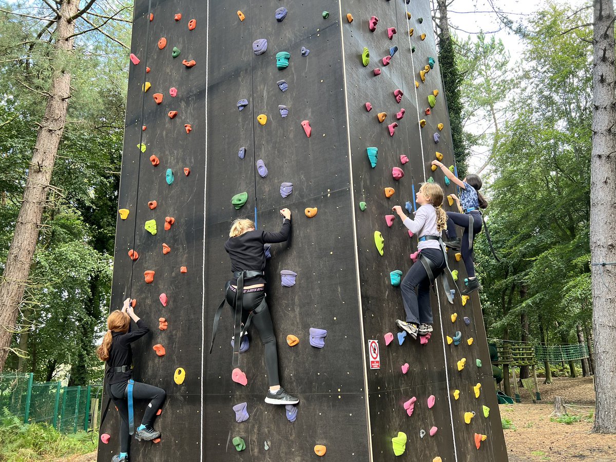 GPSmrsshotton's tweet photo. More from the climbing wall! @GPSYear6 https://t.co/fylzlNEkV0
