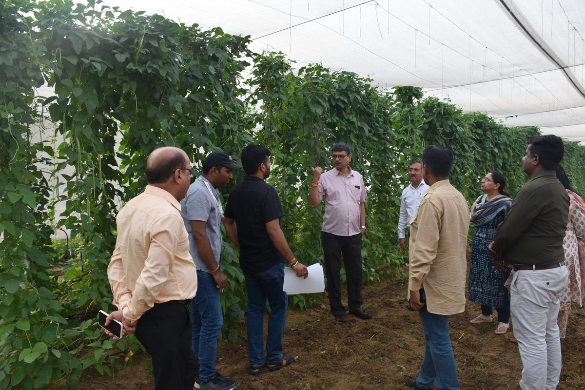 KuldeepPGR's tweet photo. Dr GP Singh, Director @INbpgr visited the #CWR #Vigna experiment carried out at New Delhi under collaborative sub-project between @INbpgr & @BiovIntCIAT_eng. Efforts are underway to unfold treasure of #Wild Vigna (601 accessions of 35 taxa) and #Yardlongbean https://t.co/4BGYGKzYzD