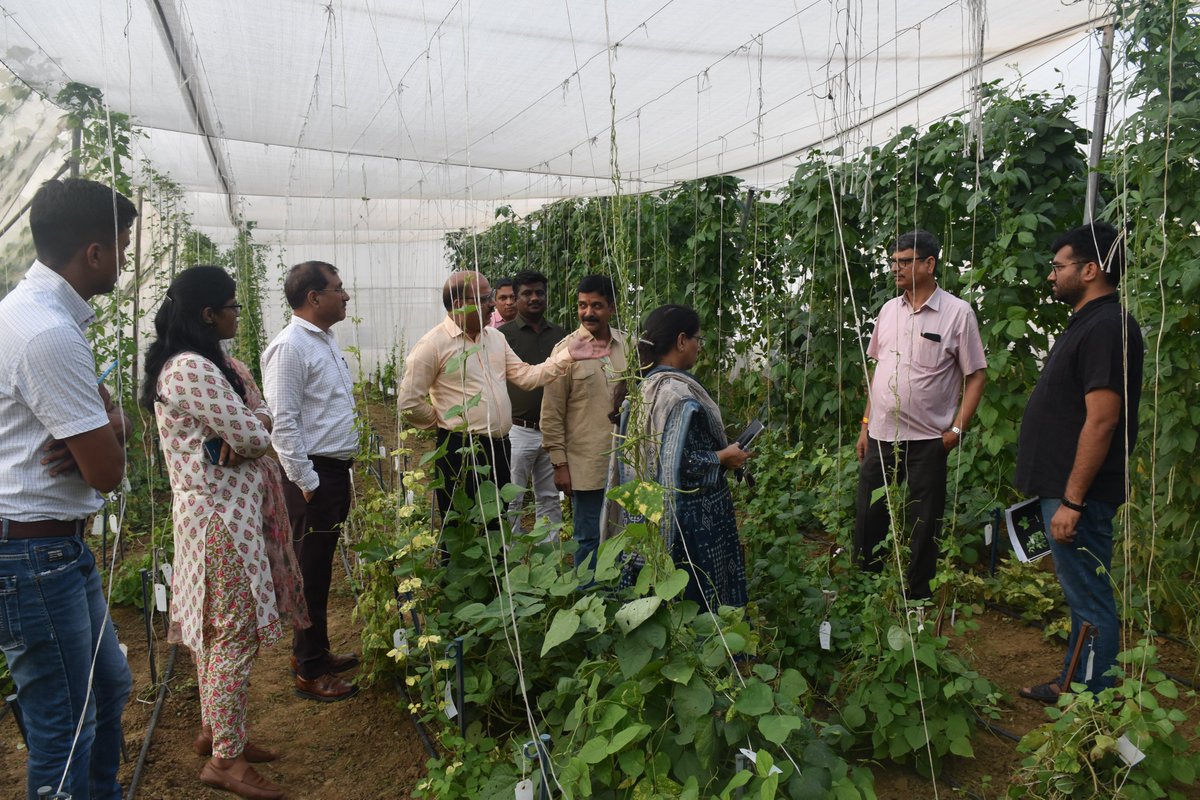 KuldeepPGR's tweet photo. Dr GP Singh, Director @INbpgr visited the #CWR #Vigna experiment carried out at New Delhi under collaborative sub-project between @INbpgr & @BiovIntCIAT_eng. Efforts are underway to unfold treasure of #Wild Vigna (601 accessions of 35 taxa) and #Yardlongbean https://t.co/4BGYGKzYzD