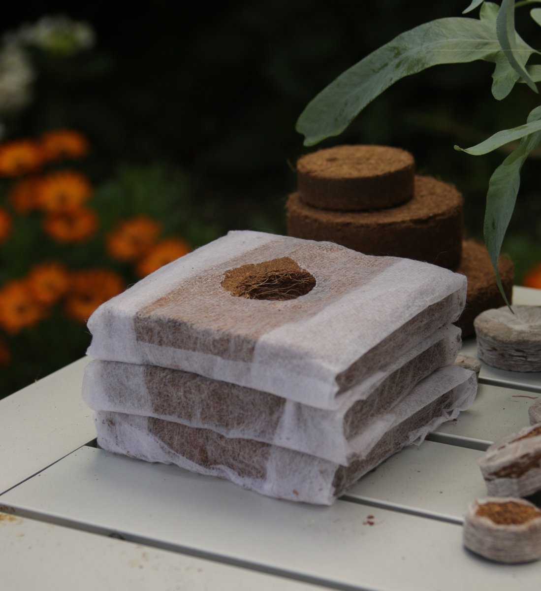 CoirProductsUK's tweet photo. #Coir #GrowCubes are the ultimate multi-purpose growing medium designed to accelerate robust root development. Encased in a biodegradable cover, these cubes retain their structure, fitting perfectly into pots or soil. Visit https://t.co/J3iSx0Hckh https://t.co/W11UgoY4Rr