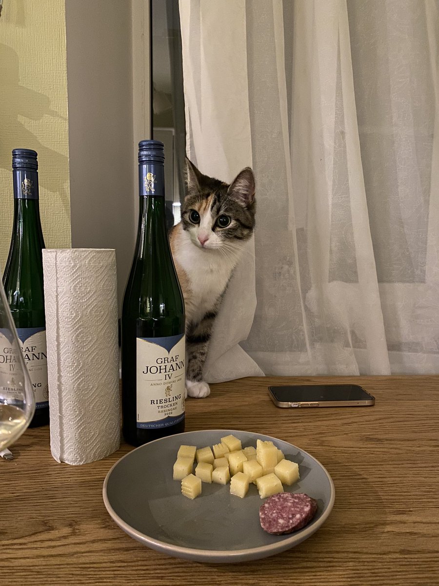 godafnaa's tweet photo. глазированный лосось на подушке из груши и рукколы. кошку не жрали, она просто смешная рядом стояла смотрела https://t.co/qJBamplFmN