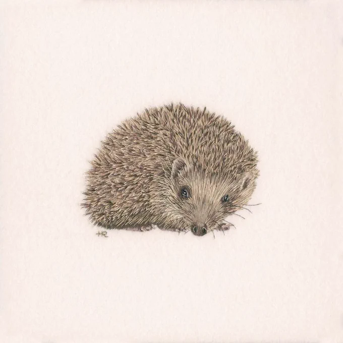 womensart1's tweet photo. 'Hedgehog' embroidery by Helen Richman, professional hand embroiderer, based in Somerset, England #womensart https://t.co/xZn0qYCIHC