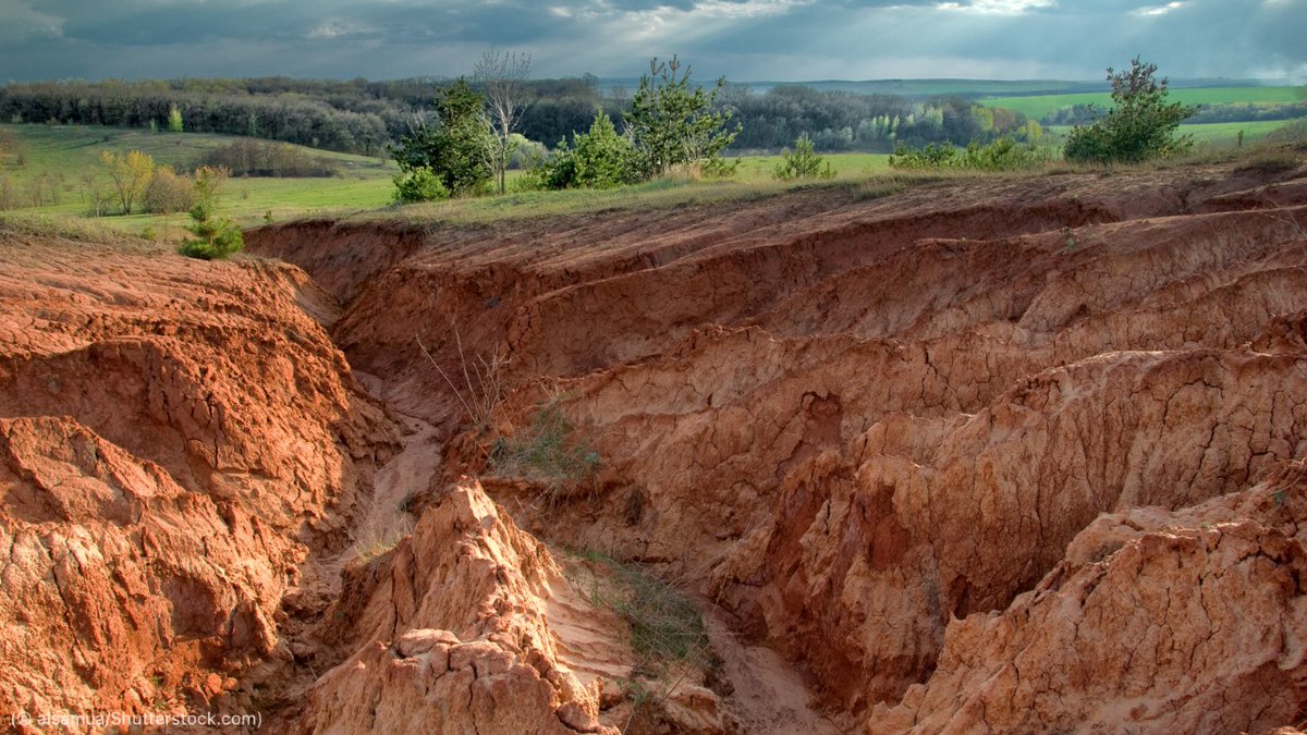 TheGeostrata's tweet photo. Land Degradation and the predicament of Humankind 

#LandDegradation implies the process of the withering of land by various factors like #deforestation, #overgrazing, #excessiveagriculture, and disposal of toxic and #radioactivewaste. https://t.co/OTVReZWuR6