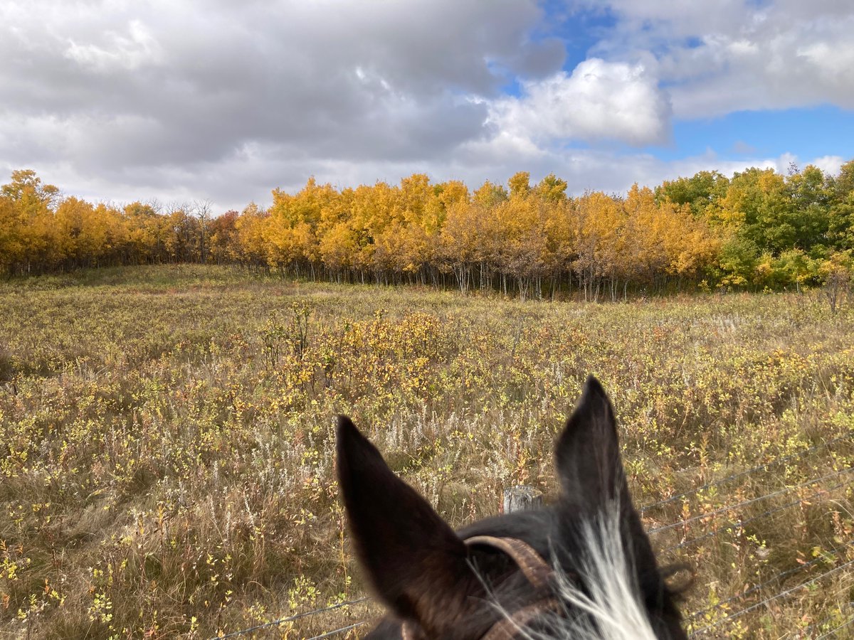 Terry Grajczyk tweet media