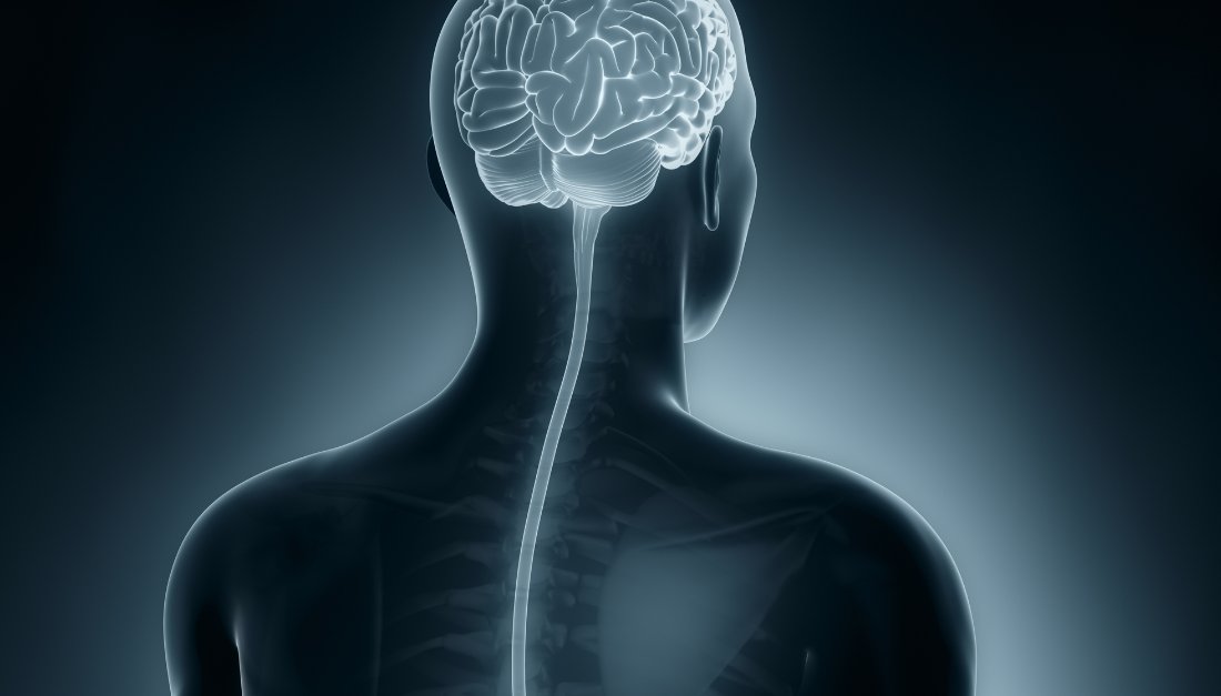 Mary Ann Liebert Inc (@liebertpub) on Twitter photo Optimizing Treatment for Acute #SpinalCordInjury
A special focus issue <a href="/J_Neurotrauma/">Journal of Neurotrauma</a> highlights the latest findings of the North American Clinical Trials Network (NACTN), aimed at improving outcomes for individuals with acute spinal cord injury: ow.ly/vYR550PPps7 Optimizing Treatment for Acute #SpinalCordInjury
A special focus issue <a href="/J_Neurotrauma/">Journal of Neurotrauma</a> highlights the latest findings of the North American Clinical Trials Network (NACTN), aimed at improving outcomes for individuals with acute spinal cord injury: ow.ly/vYR550PPps7