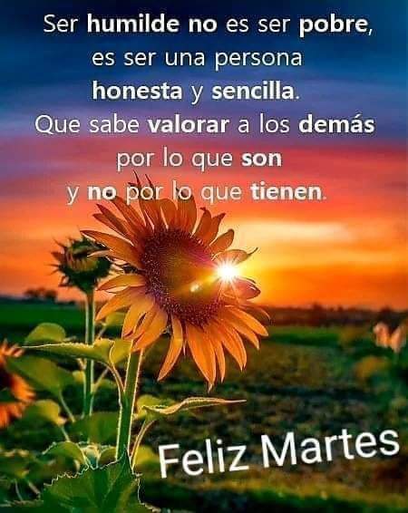 Excelente y bendecido día 🙏🌞
Feliz martes.