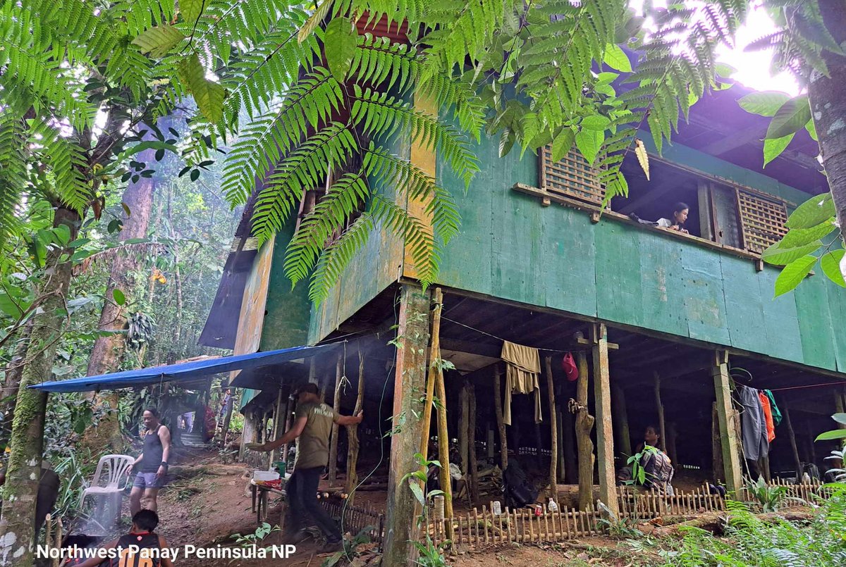 The final activity of my recent Philippines visit, an expedition into the forest! Thanks to the whole Darwin Project team for a very productive trip. <a href="/philincon_/">philincon</a> <a href="/UKBCFs/">Biodiversity Challenge Funds</a> #protectnorthwestpanay #primaryforest #visayas #conservation 🦜🐜🌳🐗🌦️🌿🦋