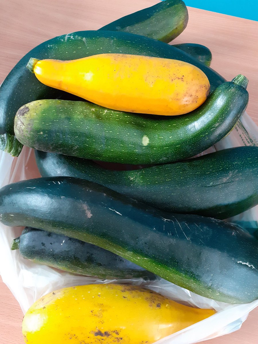 Thank you <a href="/Llannant/">M Stevens and Sons</a> Farm for donating over 10kg of surplus marrows to our #CommunityFridge! 

If you have any surplus #homegrown  items that you would like to donate to us, please email communityfridge@goleudy.org 

#HereForSwansea
#LocallyGrown
#ZeroWaste