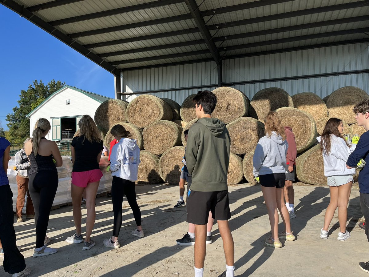 Susan Schonauer tweet media