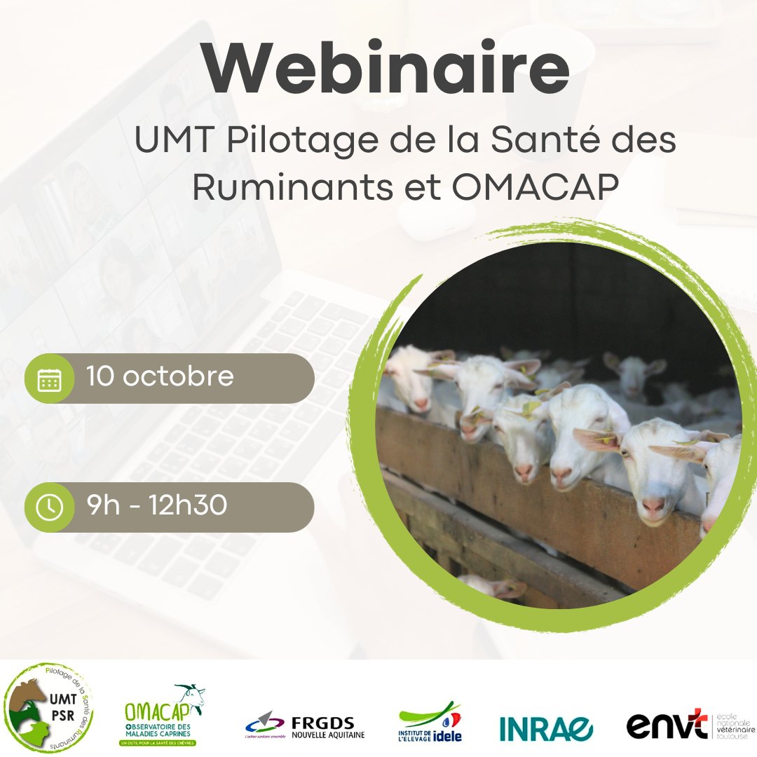 InstitutElevage's tweet image. Agenda | Webinaire 💻sur la #santé #caprine 🐐
📅 10 oct à 9h
Programme :
👉 Dépistage sur laits de tank
👉 Évaluation du vaccin VIMCO®
👉Dynamique d’infestation &amp;amp; gestion de la coccidiose chez la chevrette
👉 Etc
ℹ Info : cutt.ly/OwvBJq2S
Organisé par @UMT_PSR  &amp;amp; #OMACAP