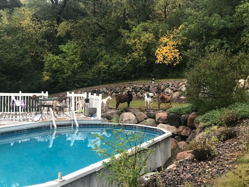 Washington County Sheriff's Office tweet media