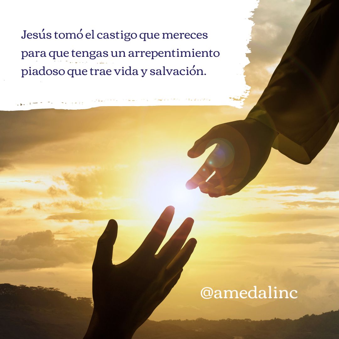 amedalinc's tweet image. La fe es un bálsamo sanador para el alma herida. Explora cómo el poder de la fe puede traer sanidad emocional y espiritual a tu vida.🌷

Sanando a través de la fe. 🙏

#FeSanadora #SanidadDelAlma #PoderDeLaFe