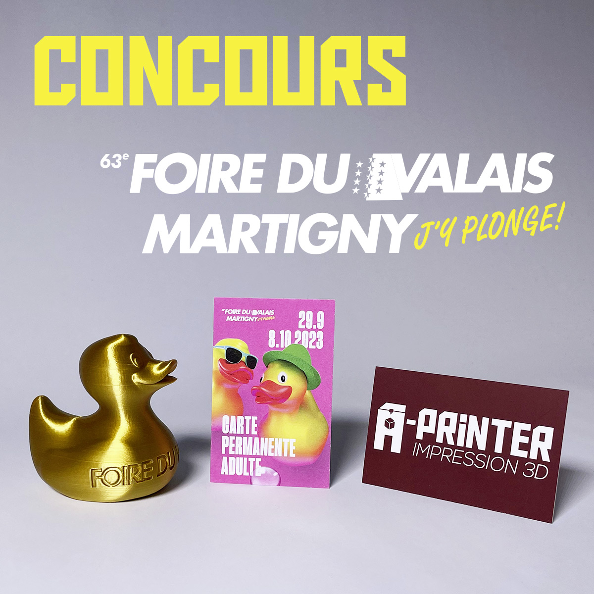 Gagnez une carte permanente pour la Foire du Valais <a href="/fdvofficiel/">Foire du Valais</a> avec A-Printer !

🦆 Rendez-vous sur nos pages Instagram et Facebook :

instagram.com/aprinter3d/
facebook.com/A.PrinterVS/