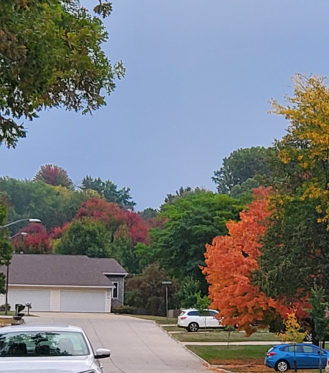 mrsbeans57's tweet photo. Nice to see some fall color when I went on my walk this morning. Since the neighborhood is mostly linden & locust trees, which only turn yellow, it's good to see the occasional maple 🍁 thrown in!
#fall #Autumn #FallC olors #AutumnLeaves https://t.co/j2F2SFNqOH