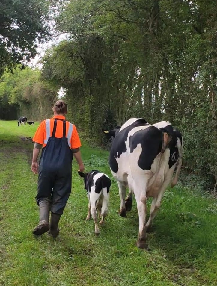 WildCowDairy's tweet photo. More new arrivals...... our team is growing and we are grateful 😍 #wildcows #teamdairy #happybirthday https://t.co/UZ5Sj8BaI5