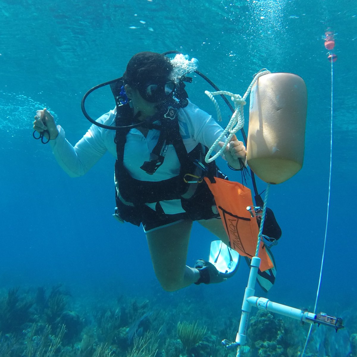 In celebration of #HispanicHeritageMonth, meet alumna Legna Torres-Garcia, a renowned research oceanographer and what <a href="/USGS/">USGS</a> calls an "all-around Science Boss." 
She earned MS degrees in physics + geology at #USC. Read more about her career journey. ⬇️
 on.doi.gov/3PSLfiD