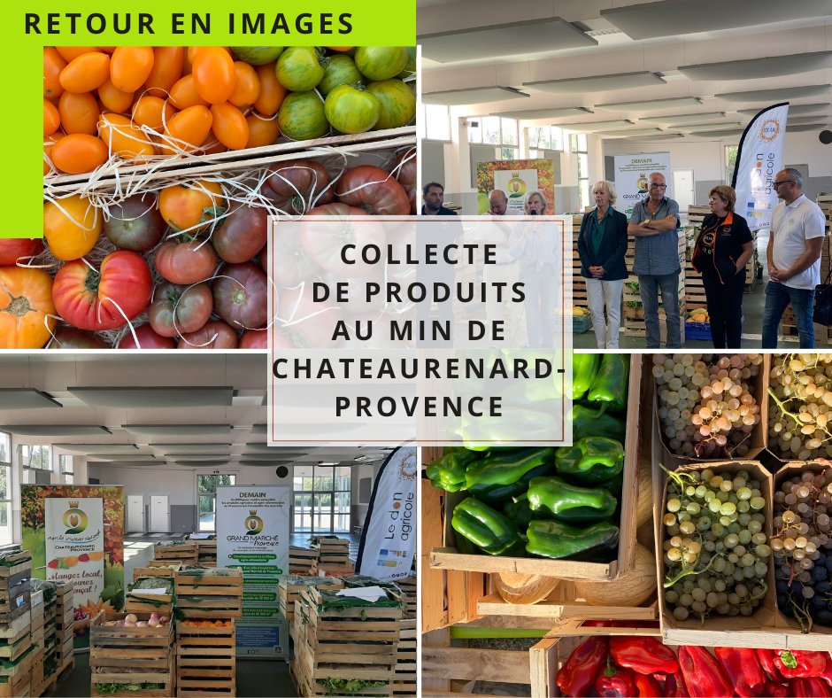 [#JNDA2023] 3 tonnes de fruits et légumes collectés <a href="/MINChateau13160/">MIN Châteaurenard-Provence</a> , soit l'équivalent de 6 000 repas.
Très belle diversité : plus de 15 variétés de fruits et légumes.
Merci à tous 😊😊