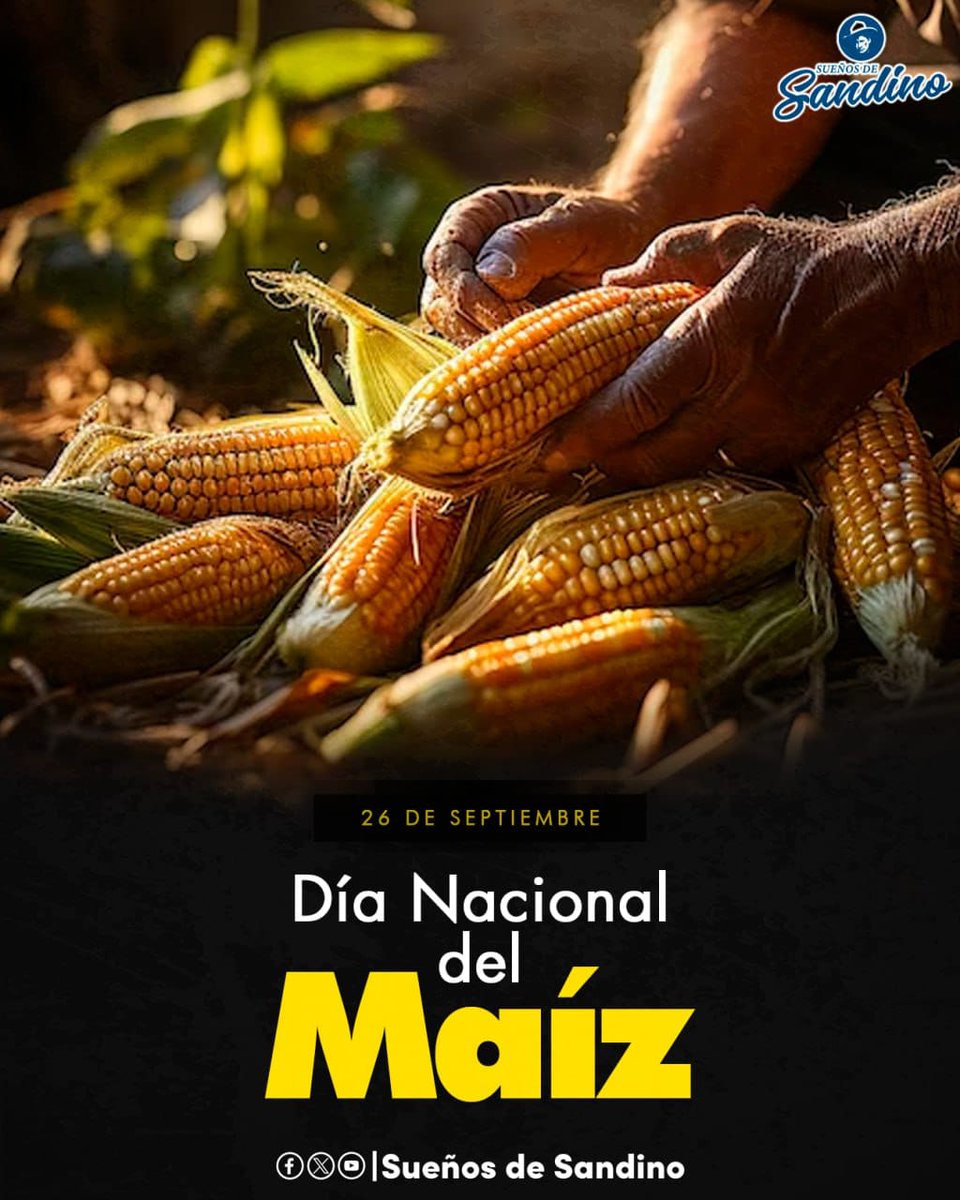 Anielka Maria Chavez Reyes 🇳🇮 tweet media
